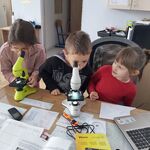 uczniowie klas pierwszych oglądają nogę muchy przez mikroskop.jpg