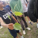 IMG_20250526_150540.jpg