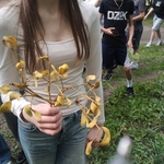 IMG_20250526_151249.jpg