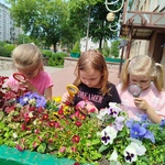 IMG_20250604_130705.jpg