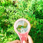 IMG_20250604_131857.jpg