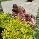 IMG_20250604_131653.jpg