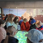muzeum.jpg