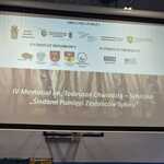 IMG_7315.jpeg