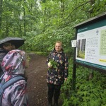 Warsztaty przyrodnicze (1).jpg